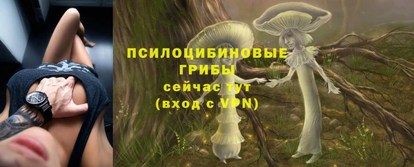 таблы Майский