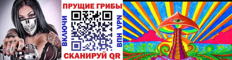 сколько стоит  KRAKEN как зайти  Псилоцибиновые грибы Magic Shrooms  Нижнекамск 